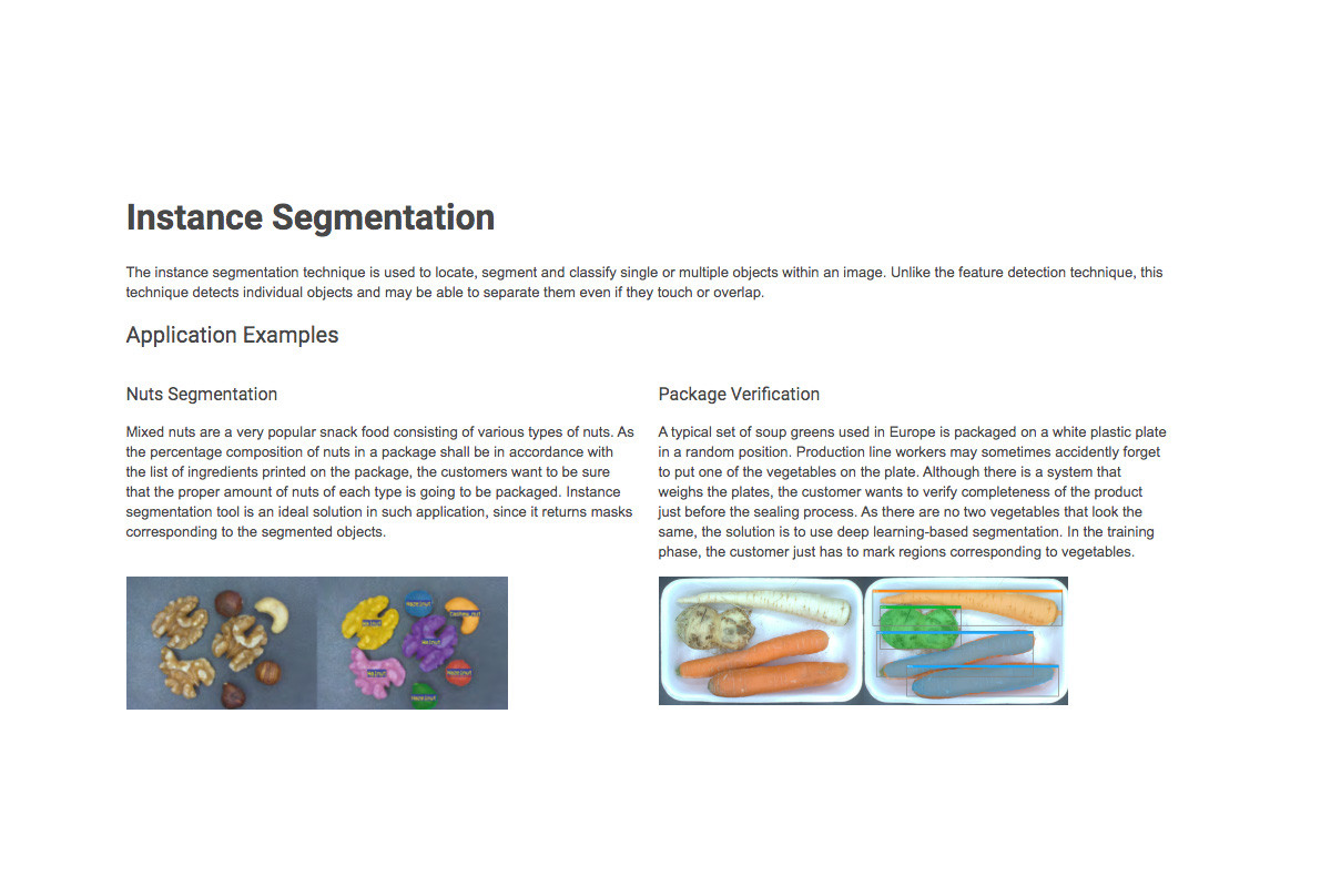 Instance Segmentation